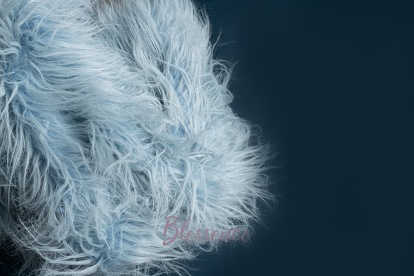 Baby Blue Fur
